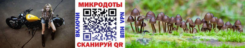 Псилоцибиновые грибы Psilocybe  OMG рабочий сайт  Иноземцево  купить  цена 